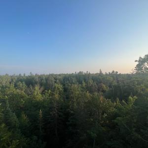 Walk the Talk Podcast