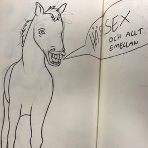 Hästsex och allt däremellan