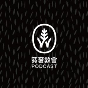 蒔麥教會