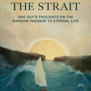 Navegar pelo Estreito audio book