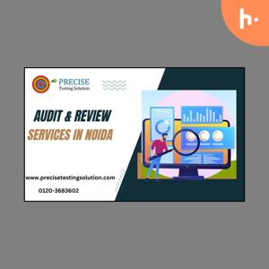 Audit & Review services in Noida