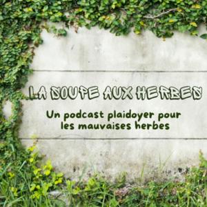 La Soupe aux Herbes