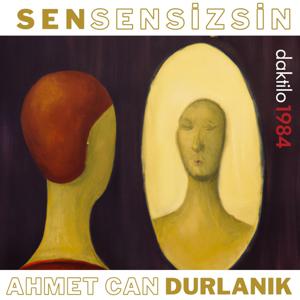 SenSensizsin