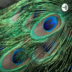 रेडियो सनविवि Radio Sanavivi