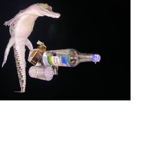 TheBiggestAlandTheSmallestAl