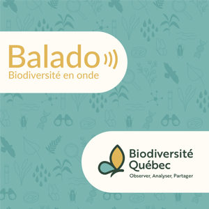 Biodiversité en onde