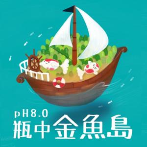 pH8.0 瓶中金魚島