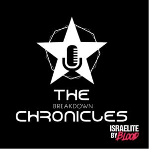 THE BREAKDOWN CHRONICLES