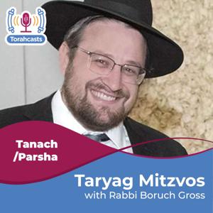Taryag Mitzvos