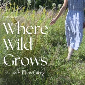 Where Wild Grows