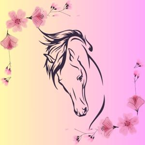 Equine Harmonie - Réaliser vos rêves en harmonie avec qui vous êtes.