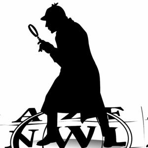 Wordsleuth's Pass-the-Baton Interviews on Instagram Live: Word Improv Writers Interview One Another