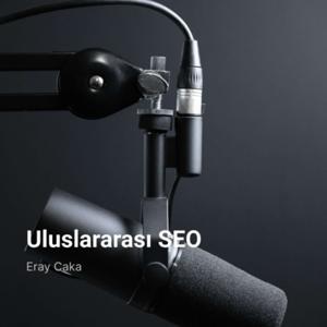 Uluslararası SEO Danışmanı Eray Caka