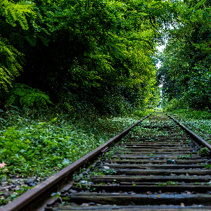 Cimientos para la Fe