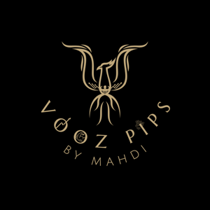VOOZ Experience