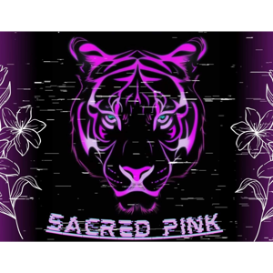 Sacred Stories