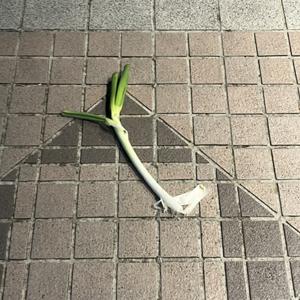東松山千春のオールナイトニッポン