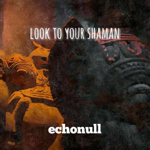 look to your shaman