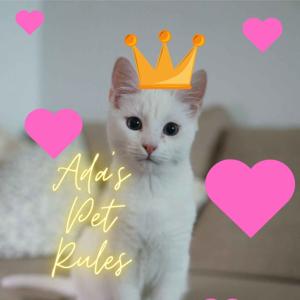 Ada's Pet Rules