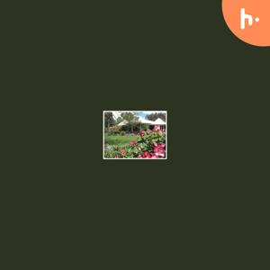 New Zealand Farm Holidays