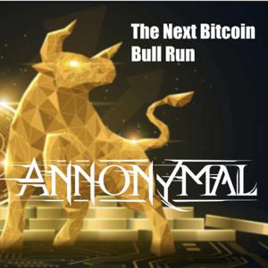 The next Bitcoin Bull Run