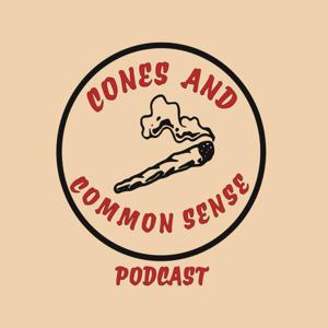 Cones and Commonsense