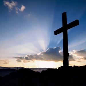 01 Latest Messages and Uploads