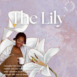 The Lily