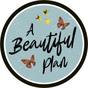 A Beautiful Plan
