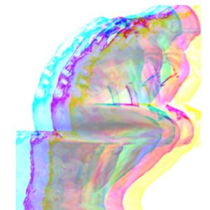 The FinTechnologist
