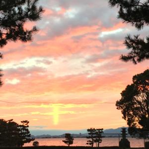 鳩胸厚子の琵琶湖日記