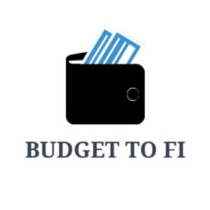 Budget To FI
