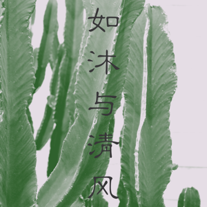 如沐与清风