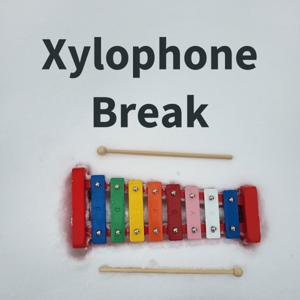 Xylophone Break