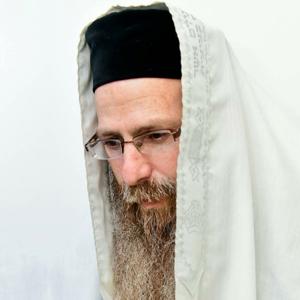 רבי מנשה אמון שליט"א