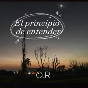 El principio de entender