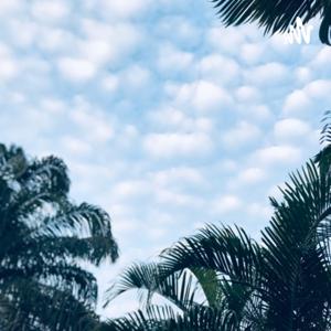 The Honest Christian Podcast