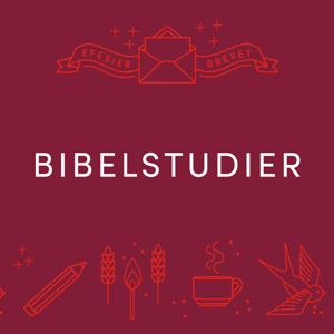 Efesierbrevet - Bibelstudier