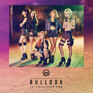 어때요 - BULL - DOK
