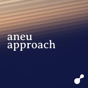 Aneu Approach