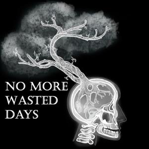 The No More Wasted Days Podcast