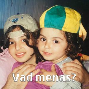 Vad menas?