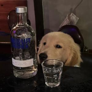 無YA油民