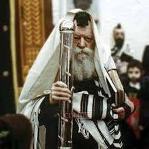 Biurim on Megilas Esther