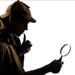 LANSING DIOCESE WATCH DOLW