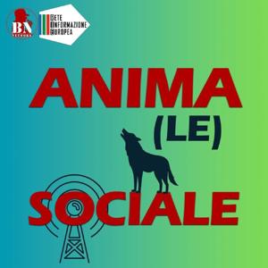 ANIMA(LE) SOCIALE - LA RADIO DEI GIOVANI