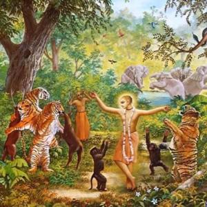 Bhakti-yoga illuminations!