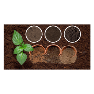 انواع التربة