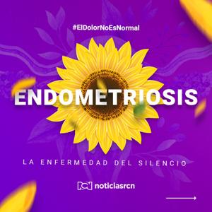 Endometriosis, enfermedad del silencio