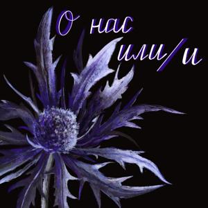 О нас или/и